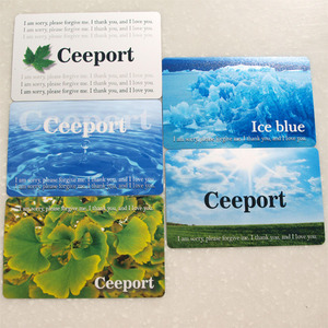 Ceeport 정화카드 (재질 : 플라스틱)